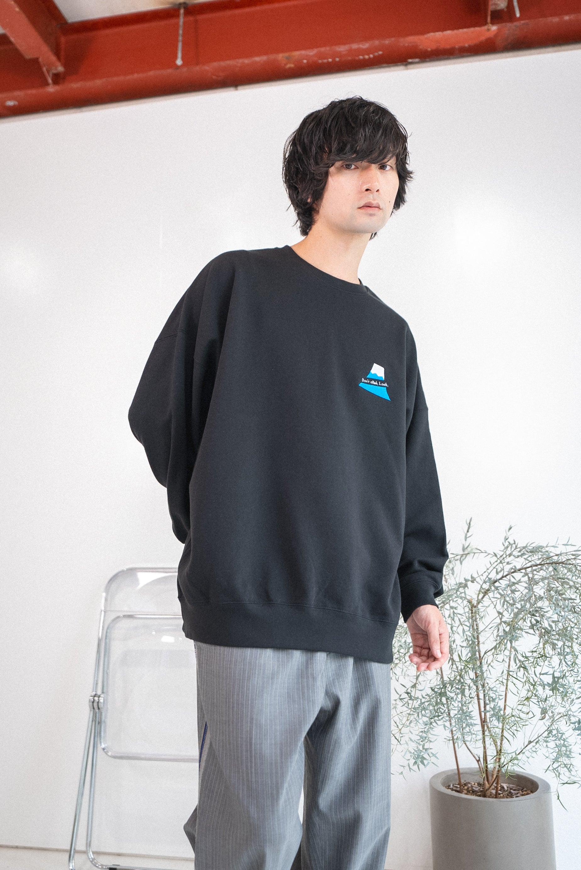 富士山は登らず観るものスウェット