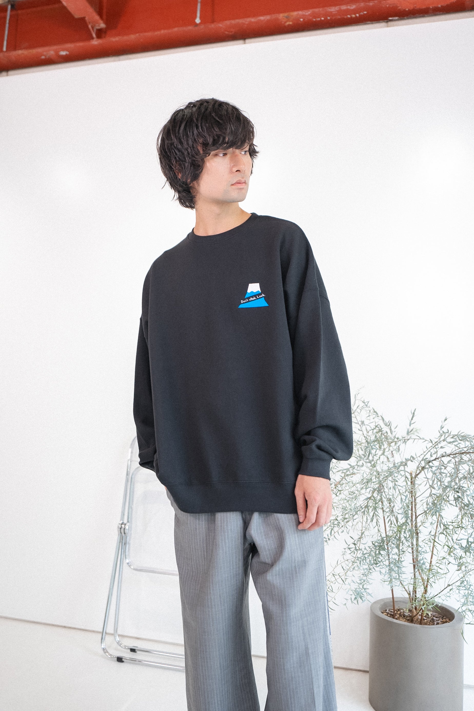 富士山は登らず観るものスウェット