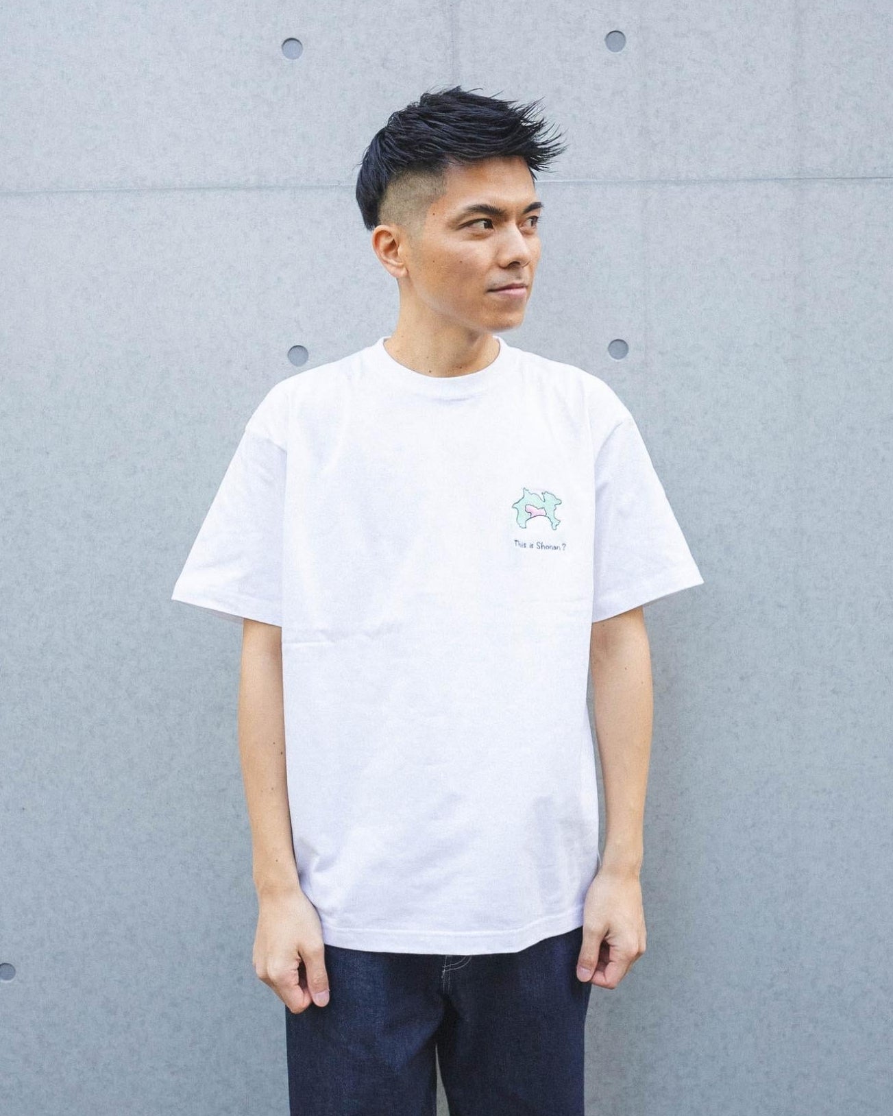 結局湘南ってどこなのTee