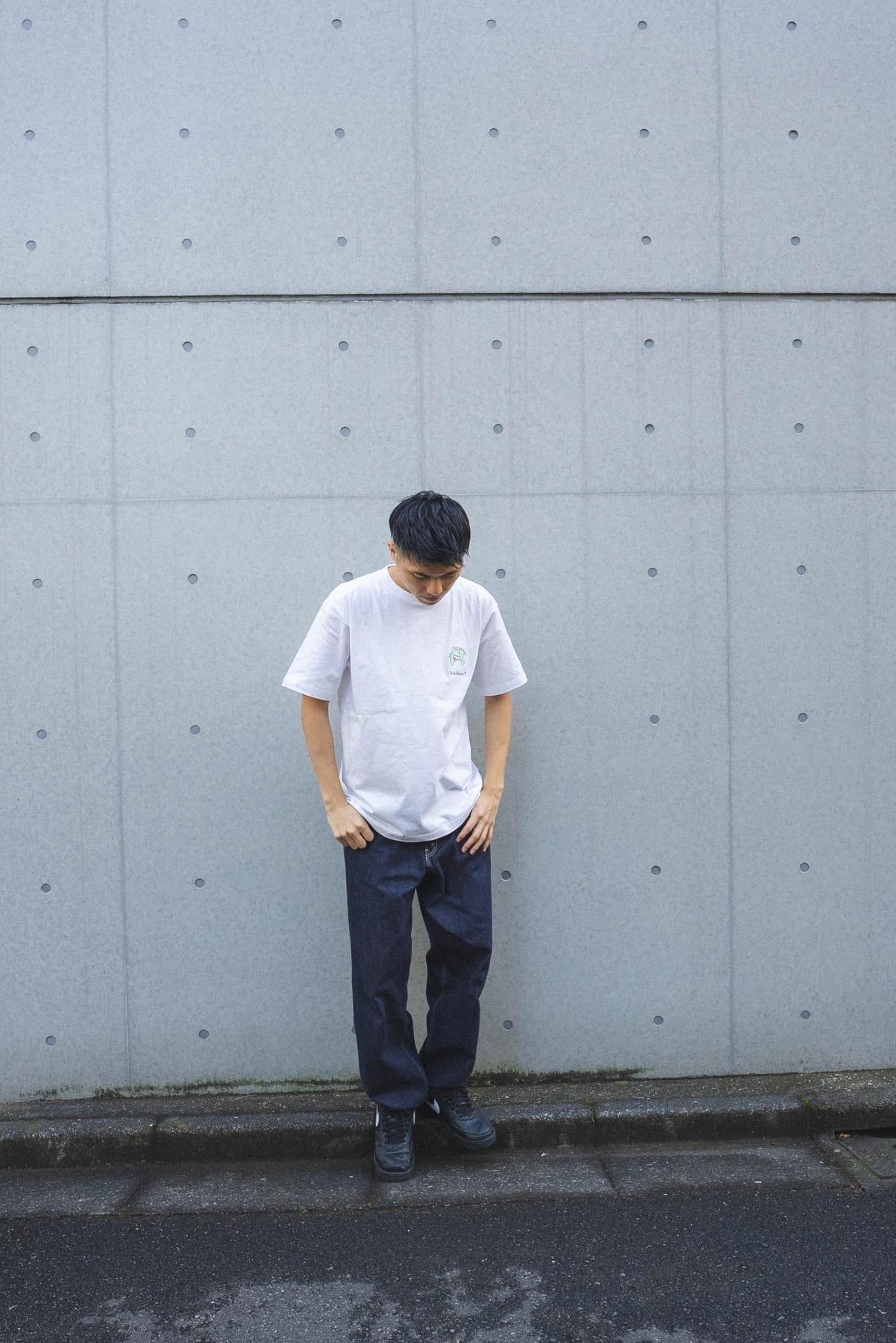 【受注】結局湘南ってどこなのTee