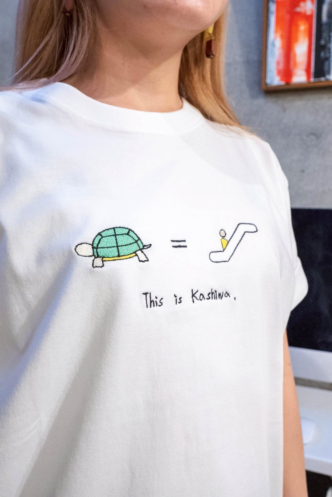 【訳あり亀】柏駅のエスカレーター遅すぎTee