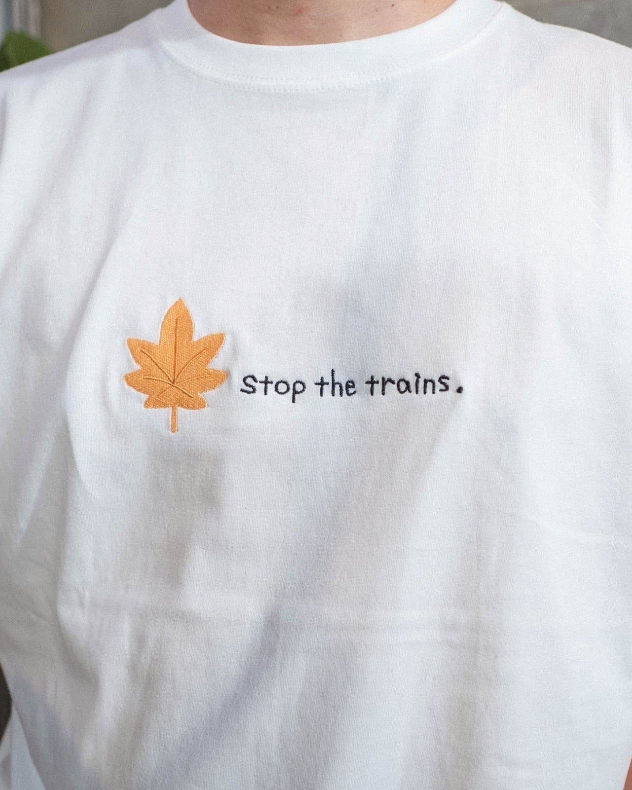 落ち葉で電車止まりがちTee