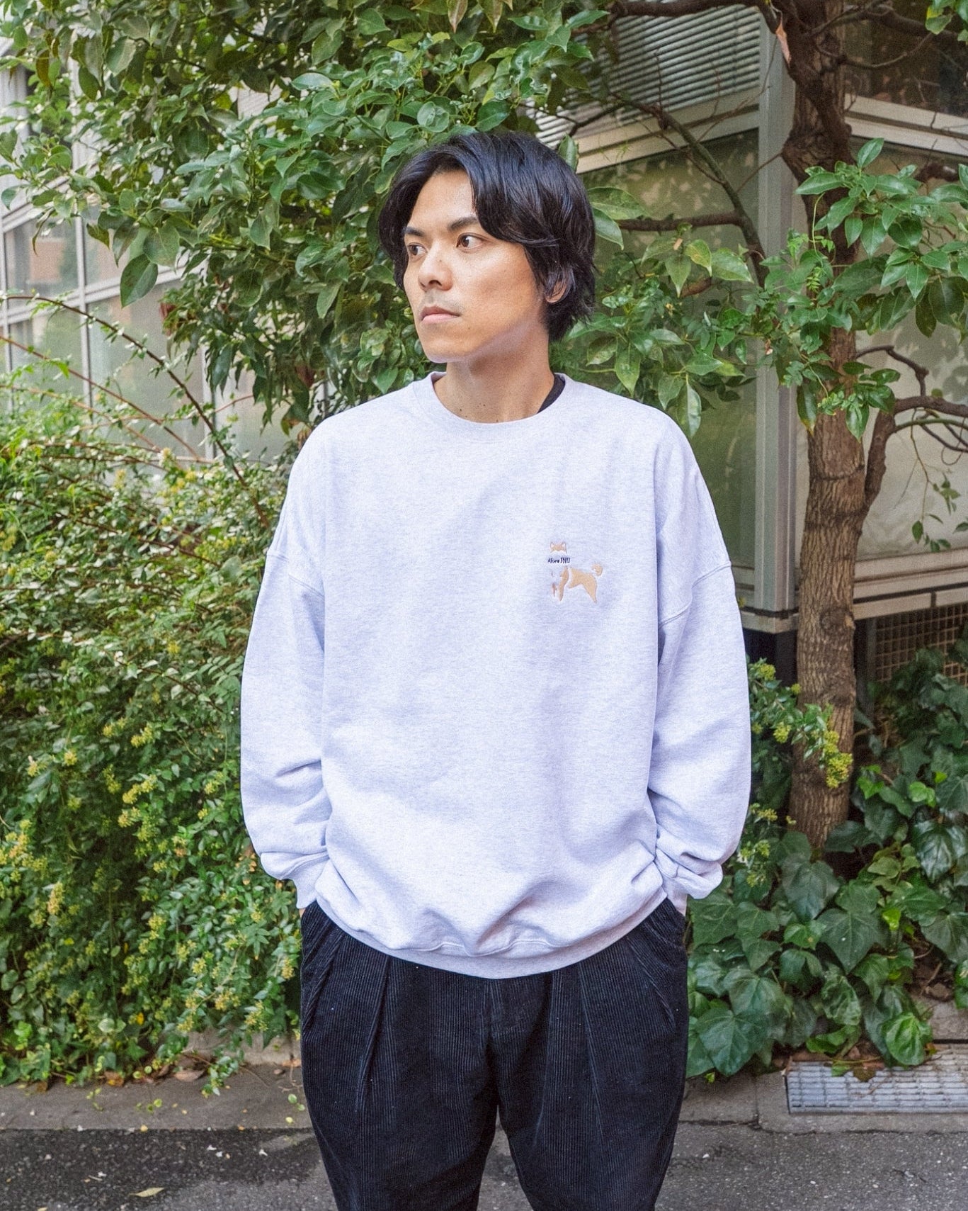 アキタイヌスウェット