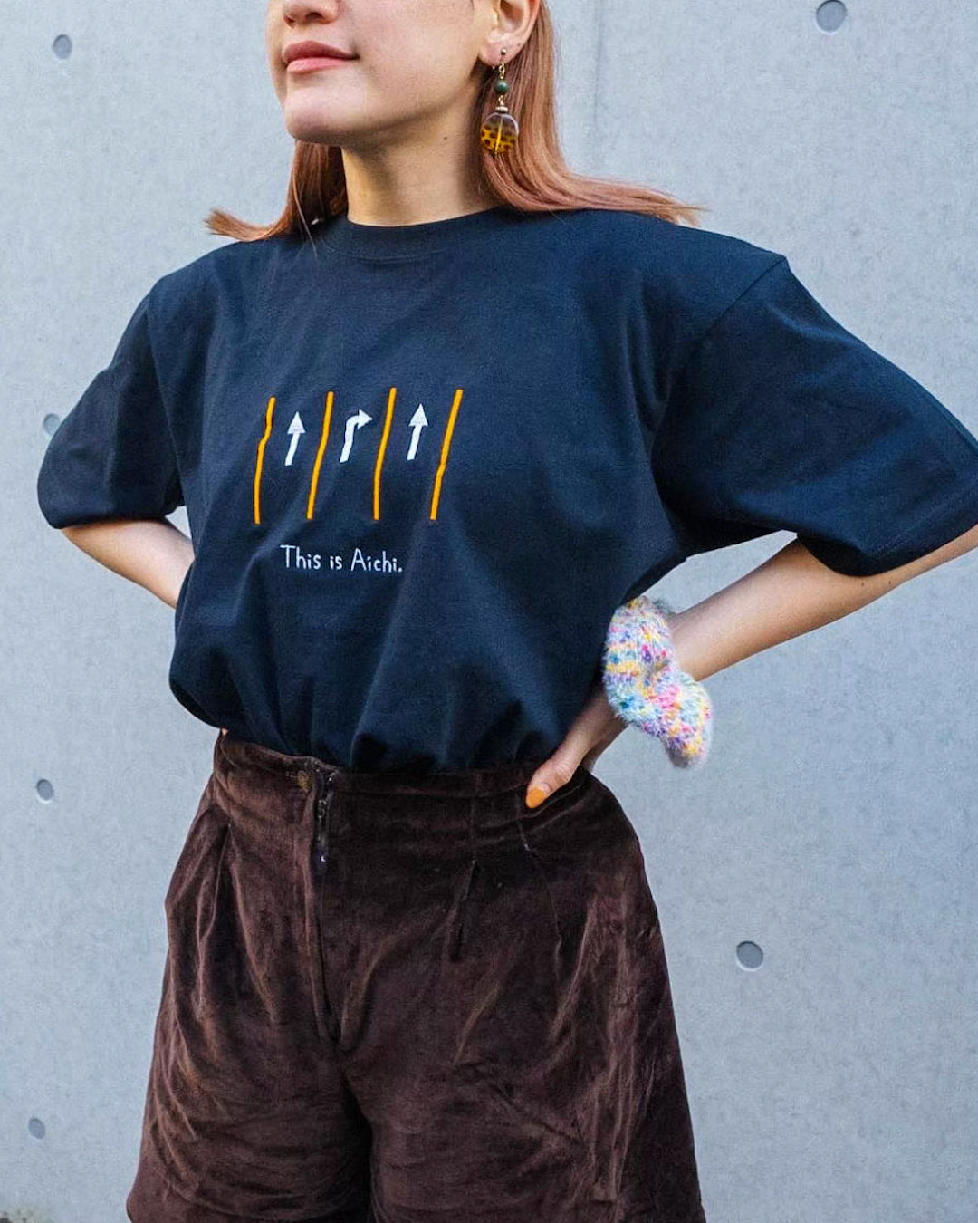 愛知県の危険道路Tee