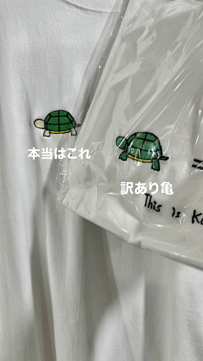 【訳あり亀】柏駅のエスカレーター遅すぎTee