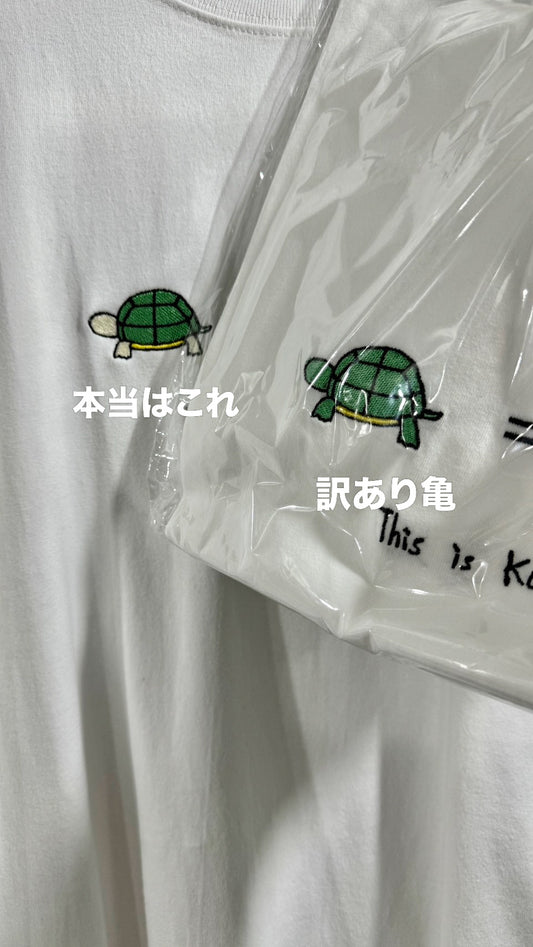 【訳あり亀】柏駅のエスカレーター遅すぎTee