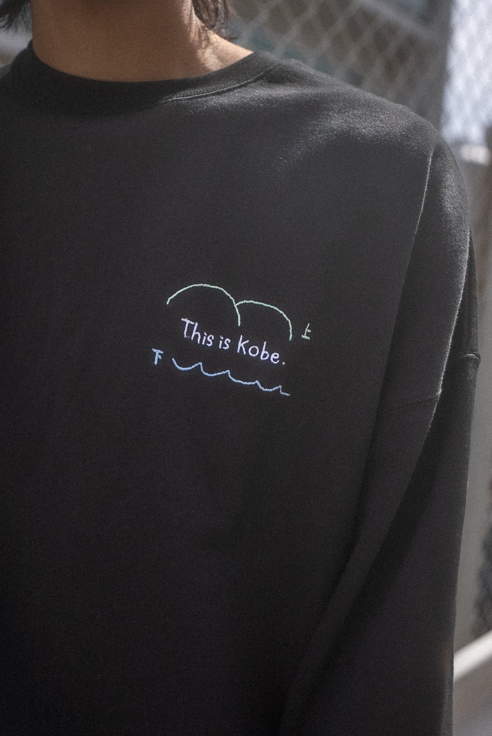 神戸の上が山で下が海スウェット