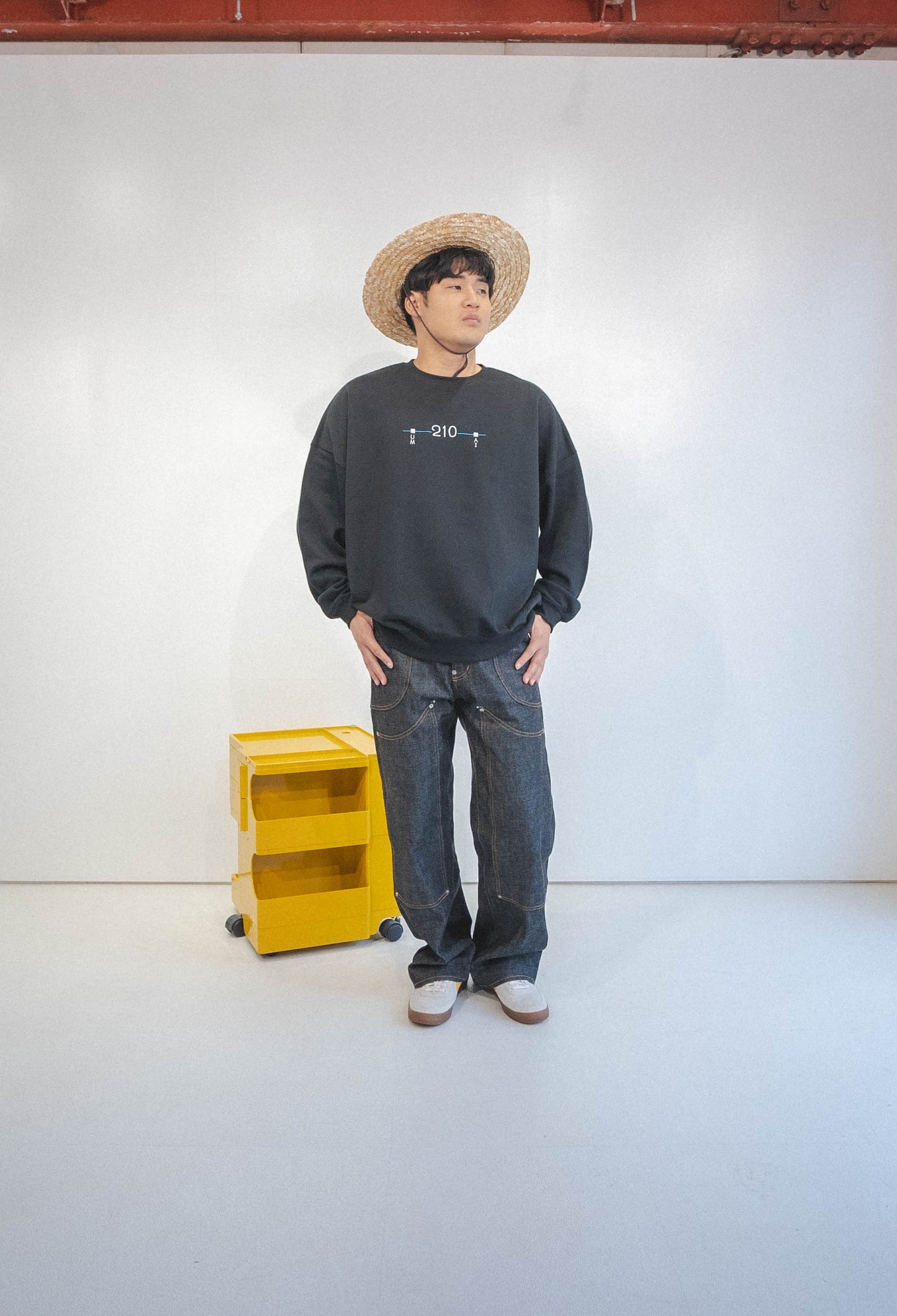 【NEW】あの電車高いスウェット