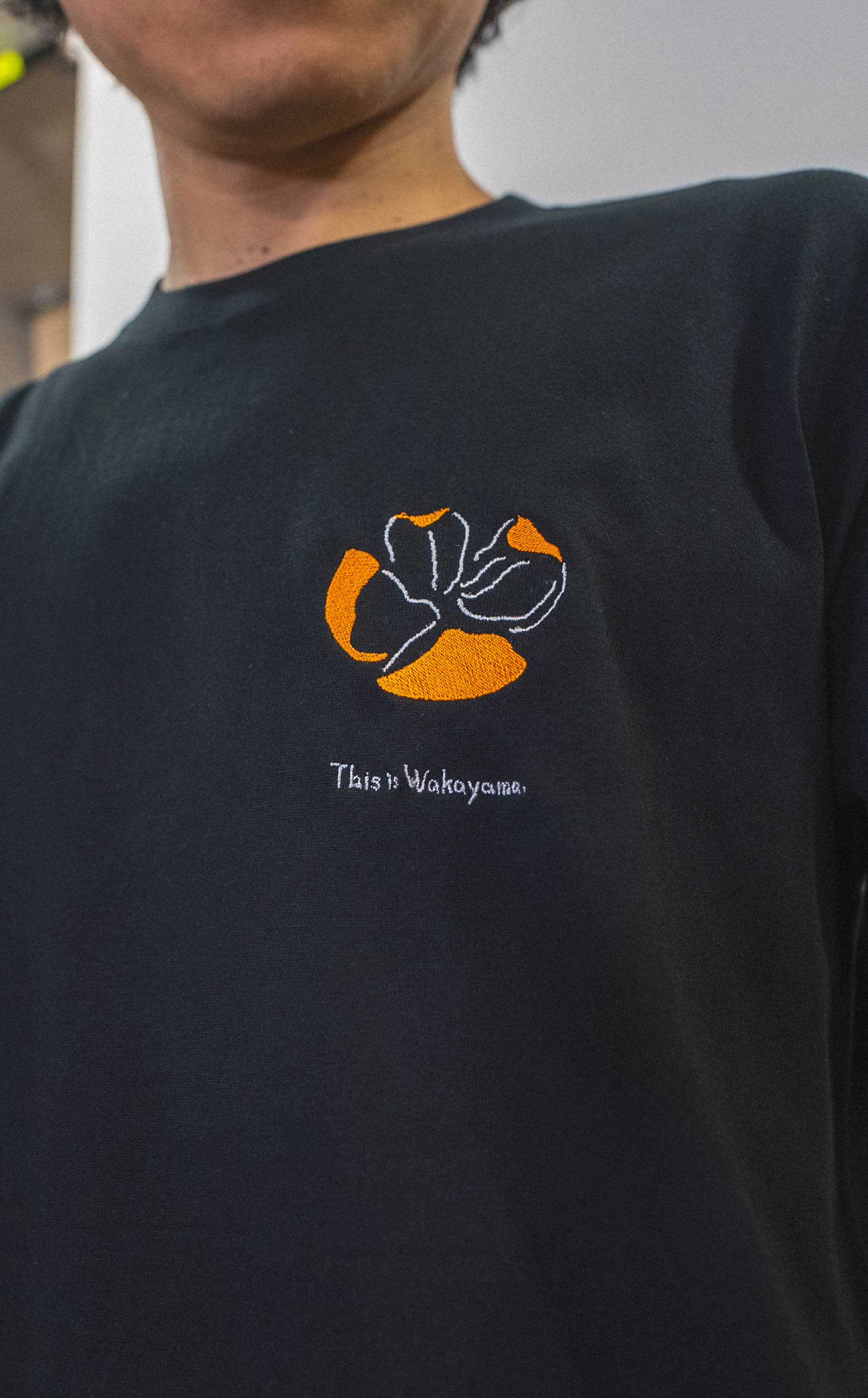 和歌山民の得意技！有田むきTee