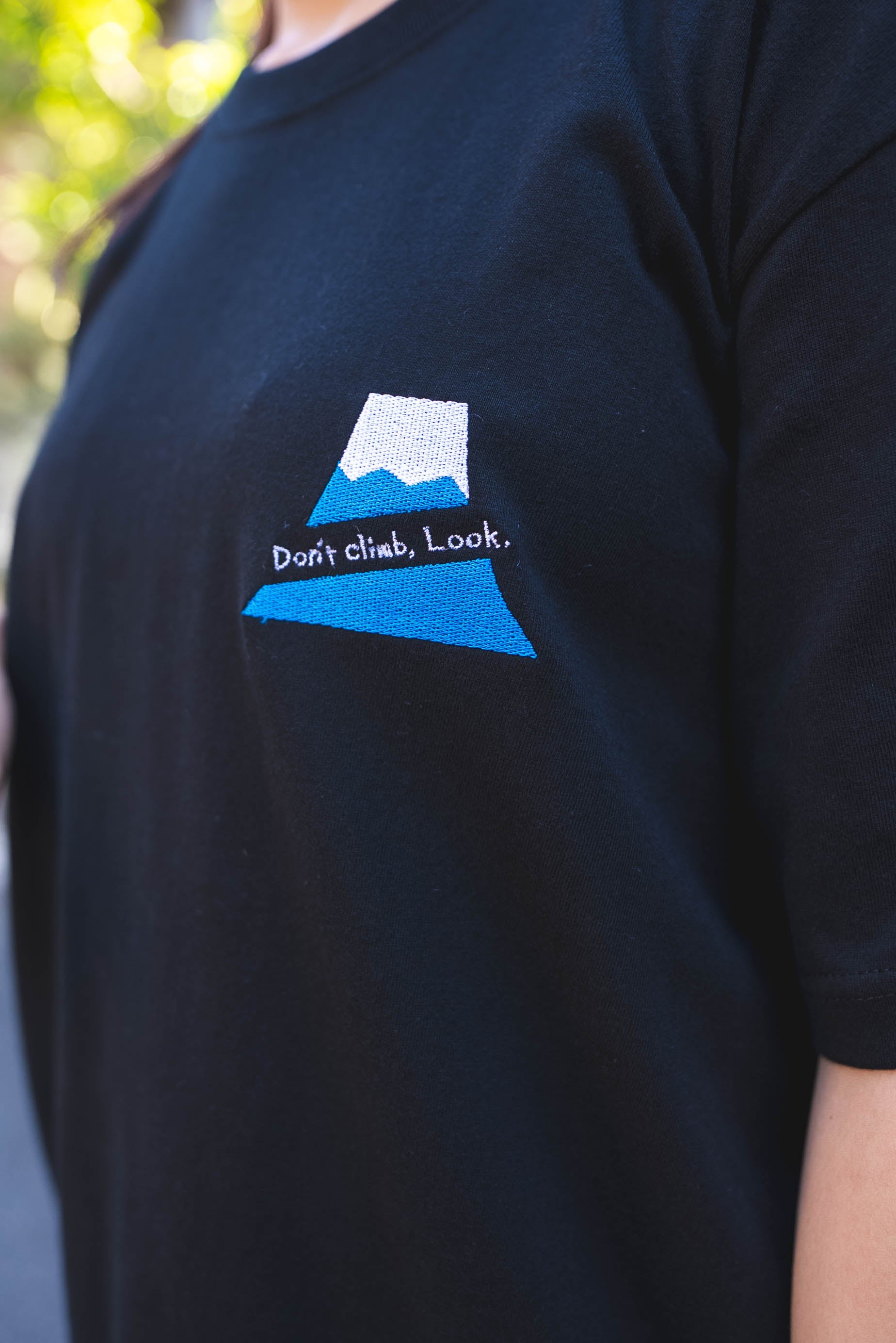 【受注】富士山は登らず観るものTee