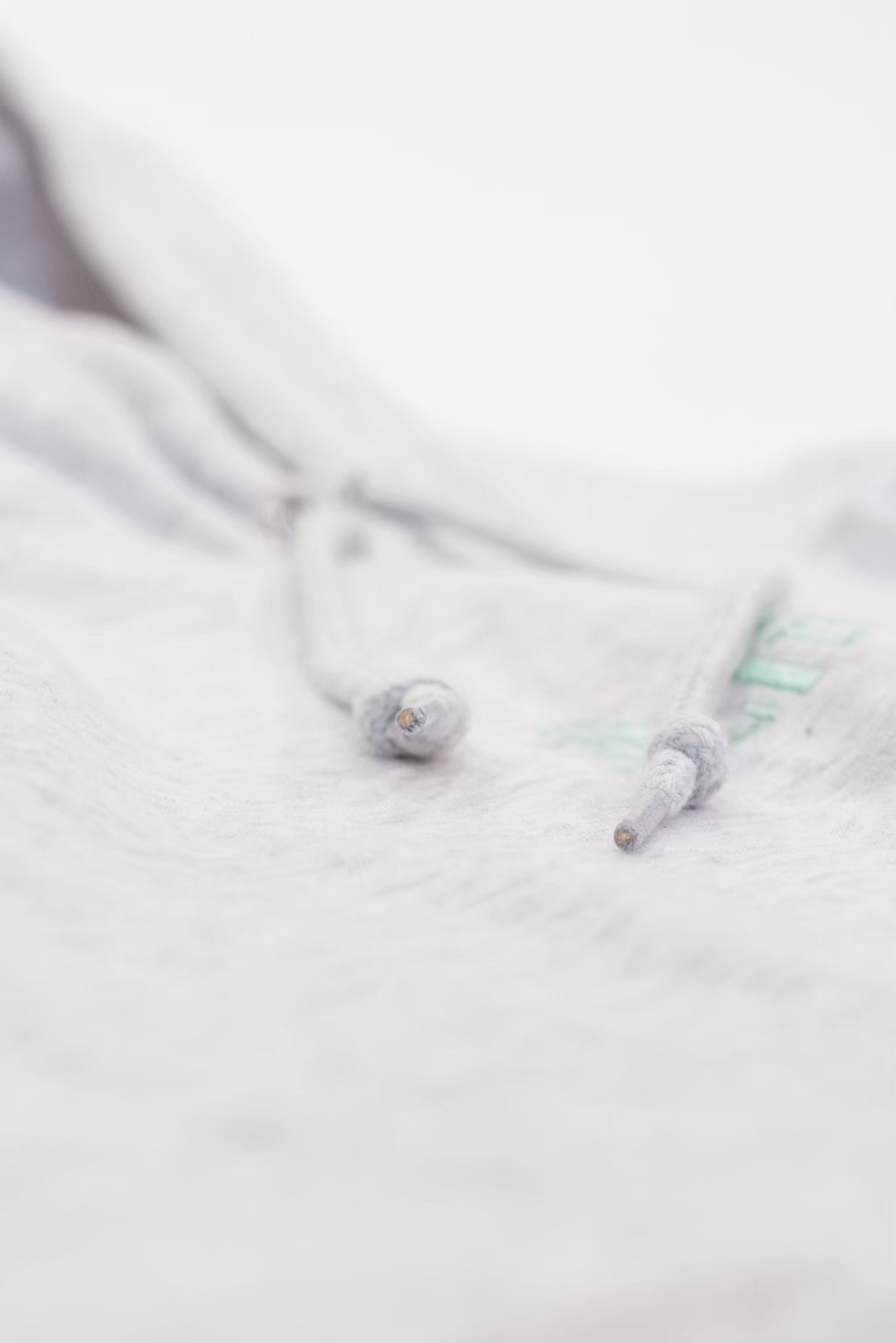 埼玉県民オンリーテストパーカー