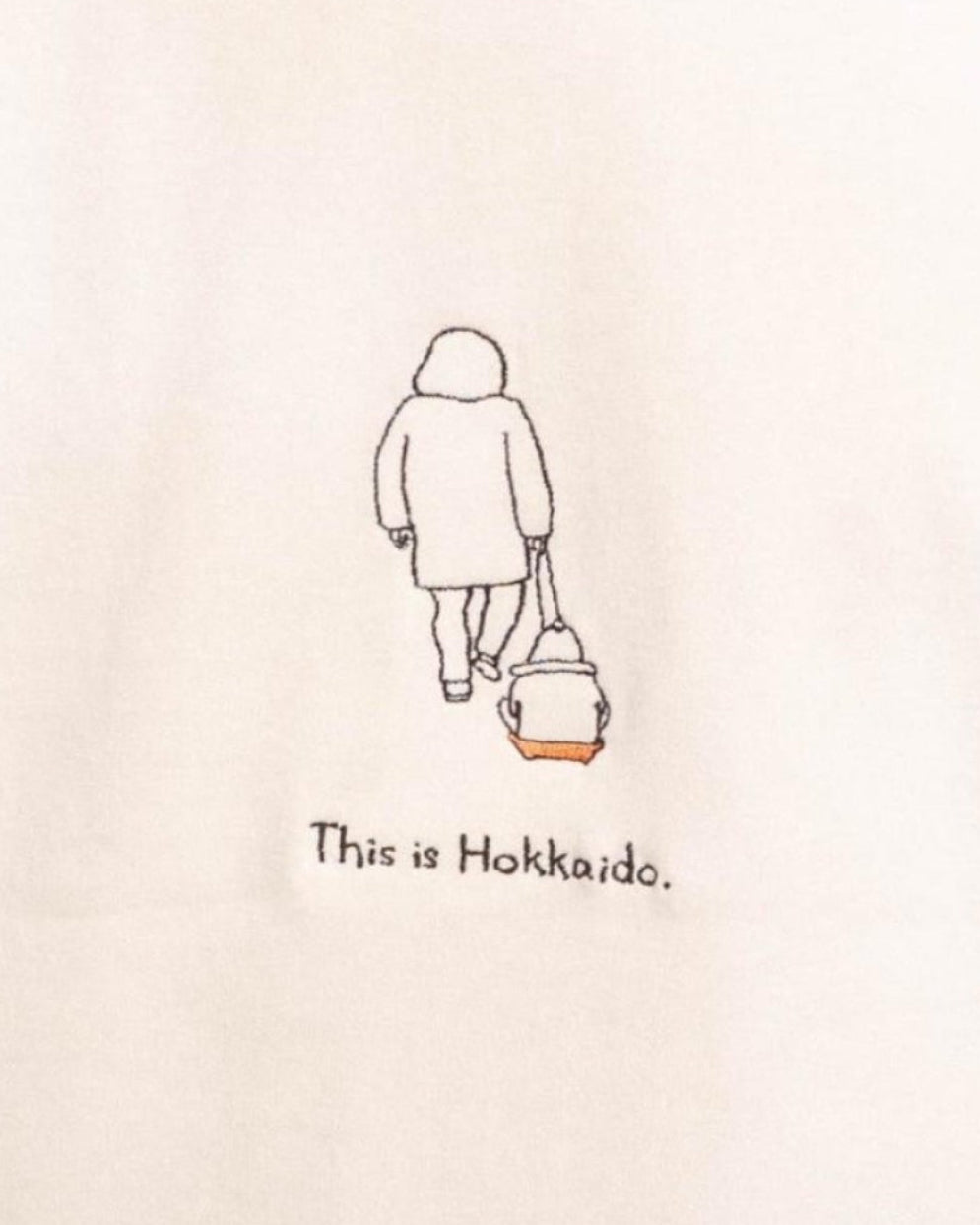 ベビーカーの代わりにソリTee