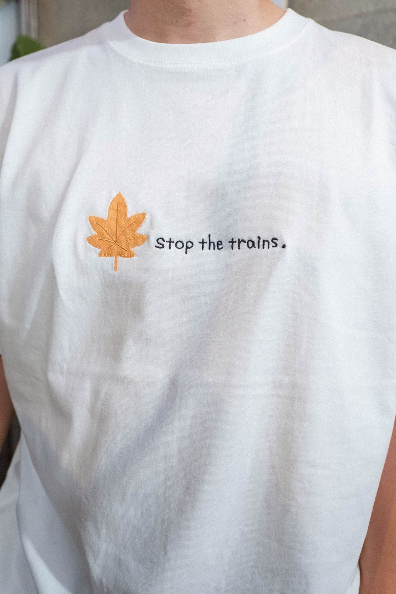 【受注】落ち葉で電車止まりがちTee