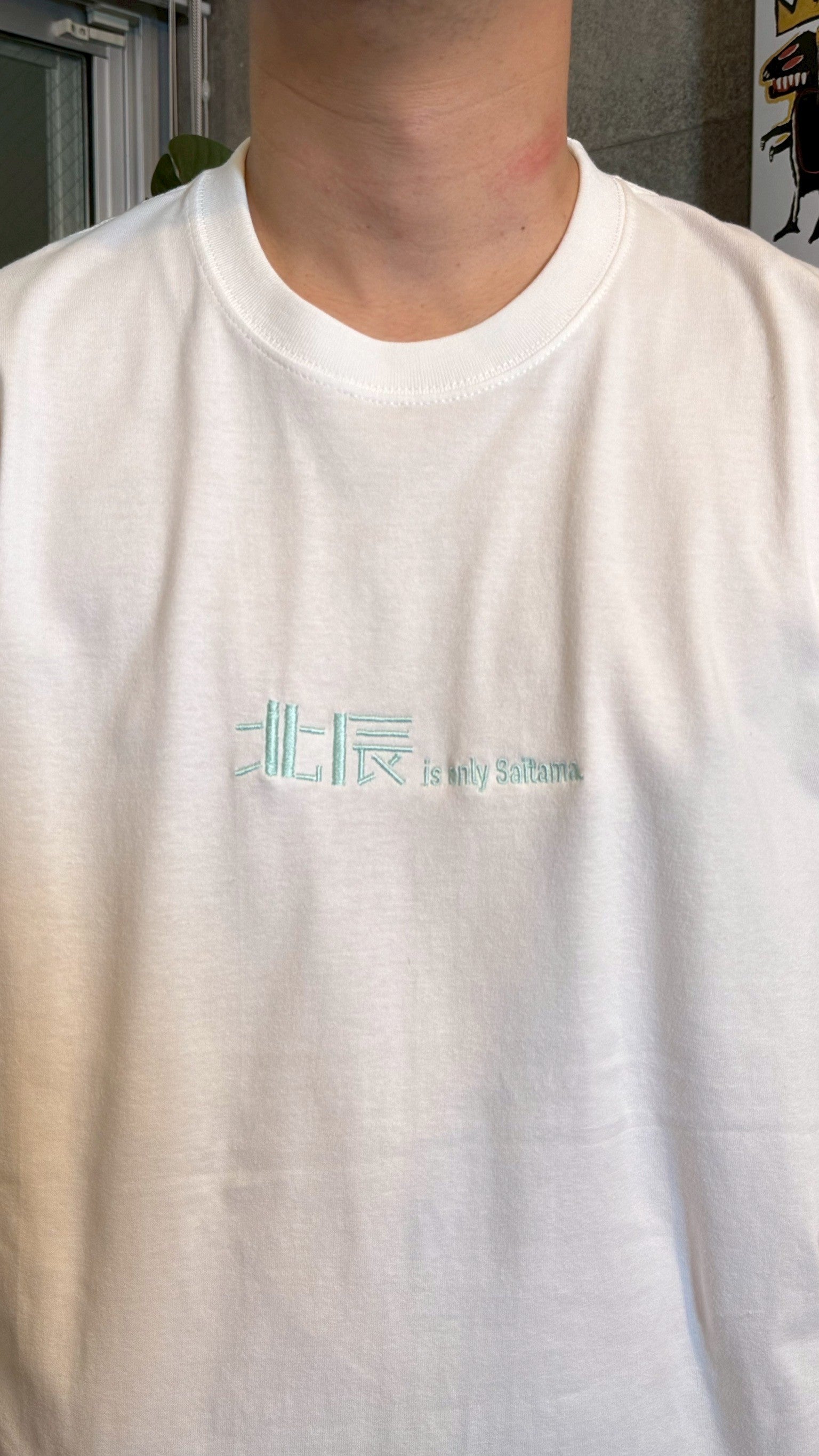 埼玉県民オンリーテストTee