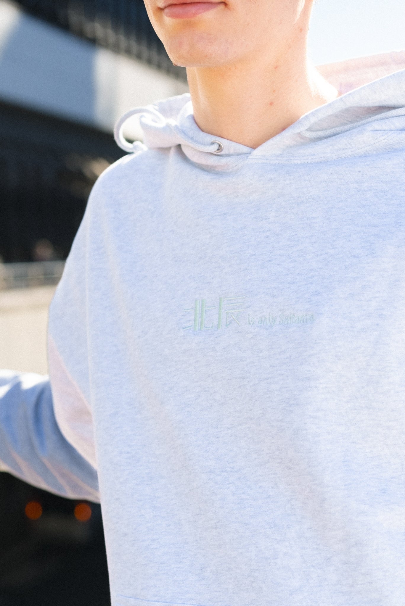 埼玉県民オンリーテストパーカー