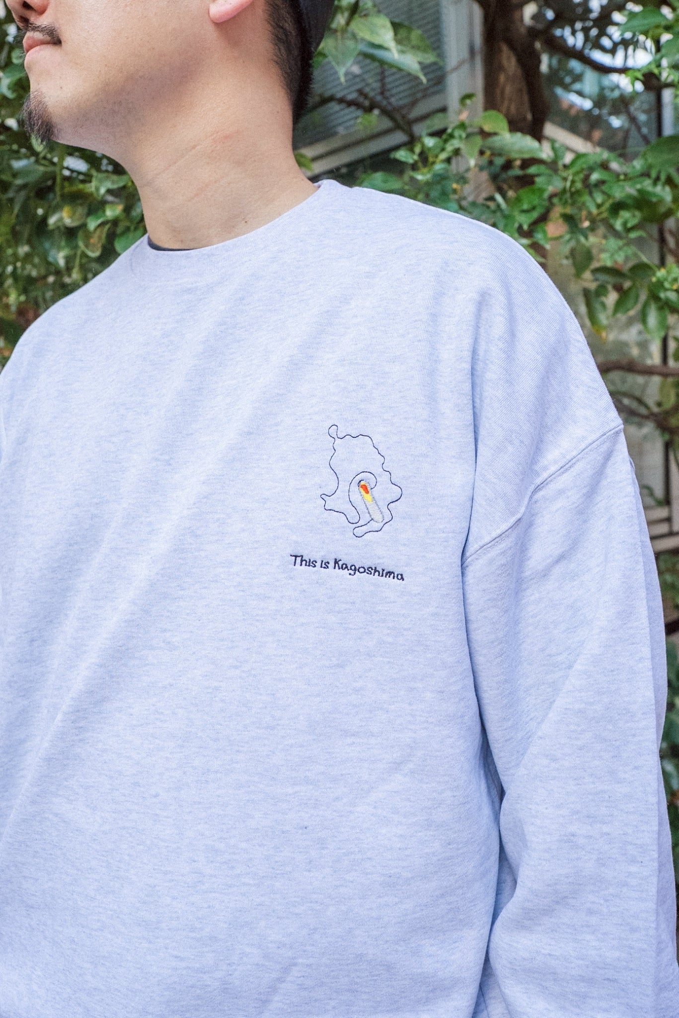 火山噴火後の降灰予報の図スウェット