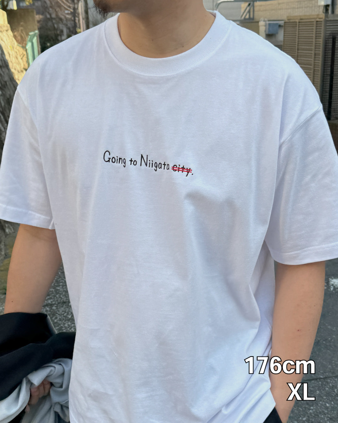 [NEW]新潟から新潟に行くTee