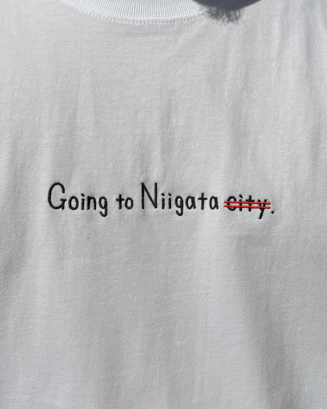 [NEW]新潟から新潟に行くTee